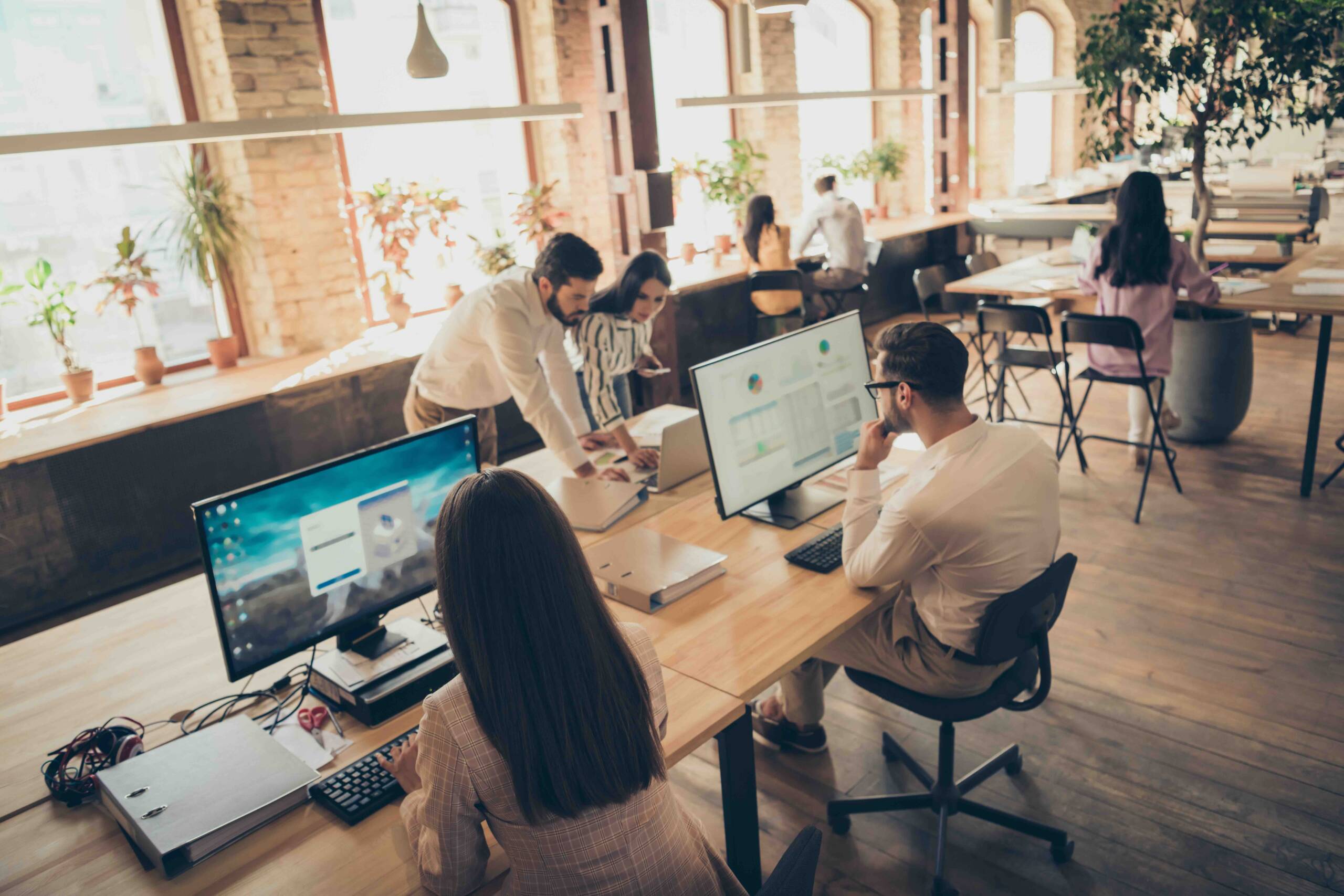 Ein modernes Büro mit Menschen, die an Schreibtischen arbeiten. Zwei Personen arbeiten gemeinsam an einem Laptop und erkunden Power BI-Lösungen, während andere an Desktop-Computern arbeiten. Große Fenster lassen natürliches Licht herein und Pflanzen verleihen dem offenen Raum einen Hauch von Grün.